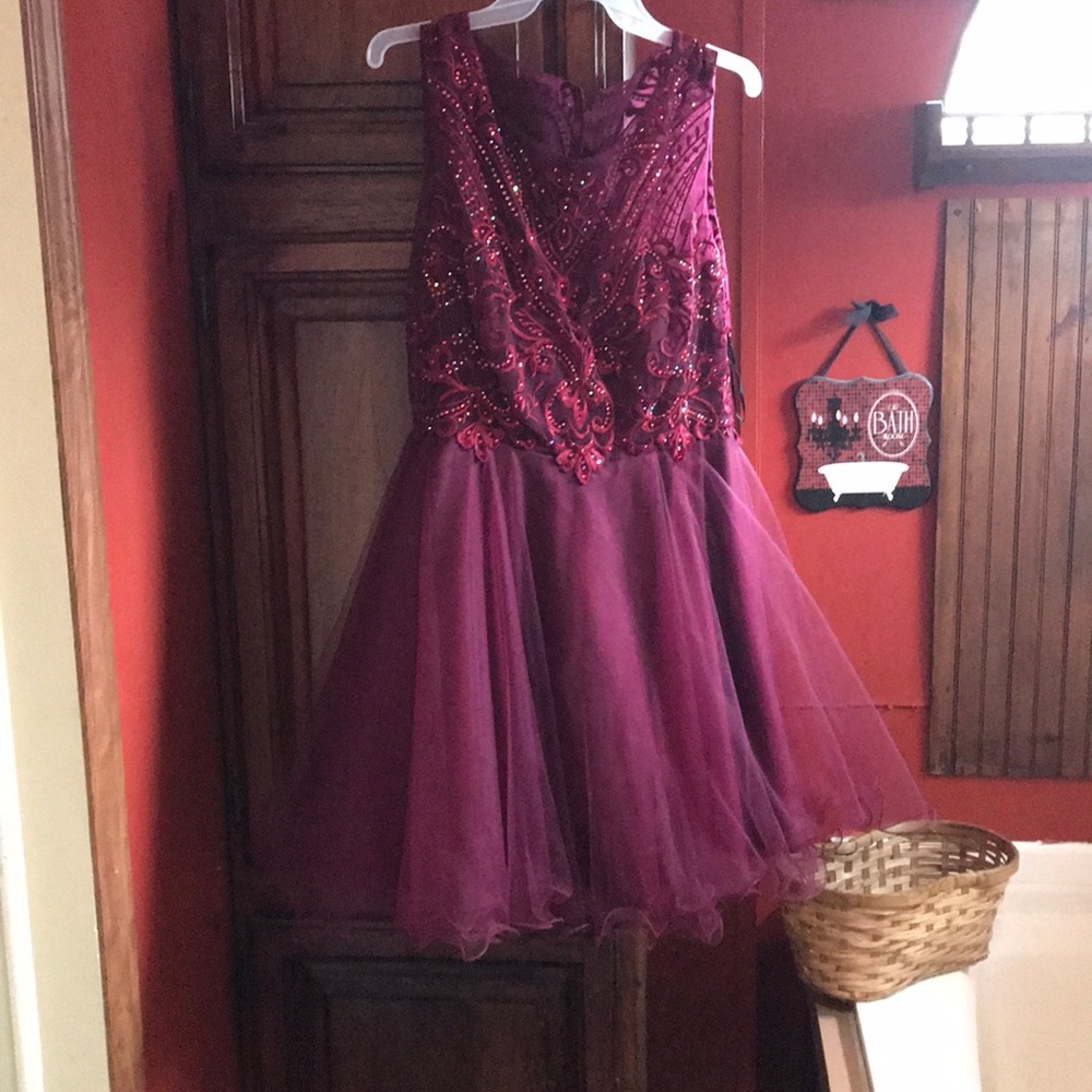 Zip up back Burgundy Dress